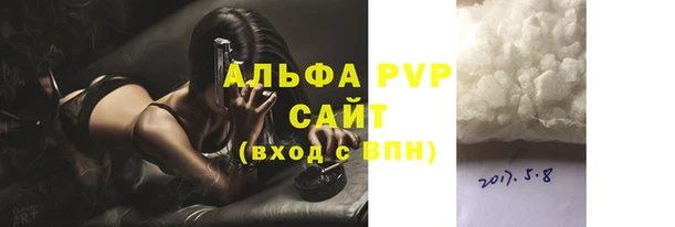 СК Медногорск