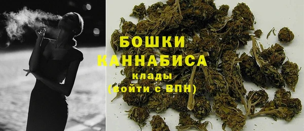 СК Медногорск