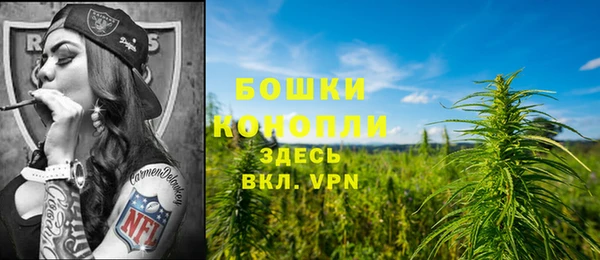 эйфоретик Михайлов