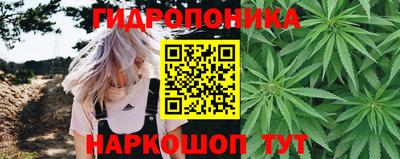 гашик Гусь-Хрустальный