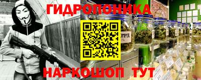 гашик Гусь-Хрустальный