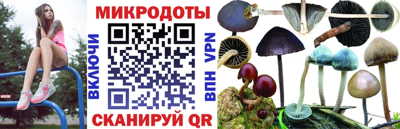 Галлюциногенные грибы ЛСД Когалым