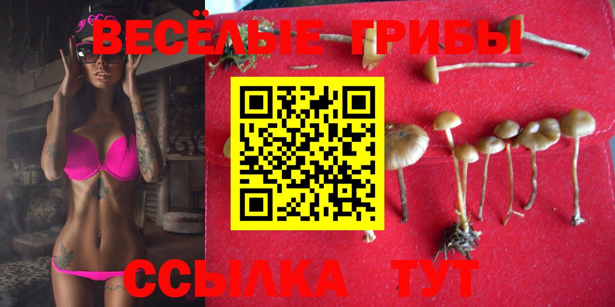 Псилоцибиновые грибы Cubensis  Псилоцибиновые грибы MAGIC MUSHROOMS  Когалым 